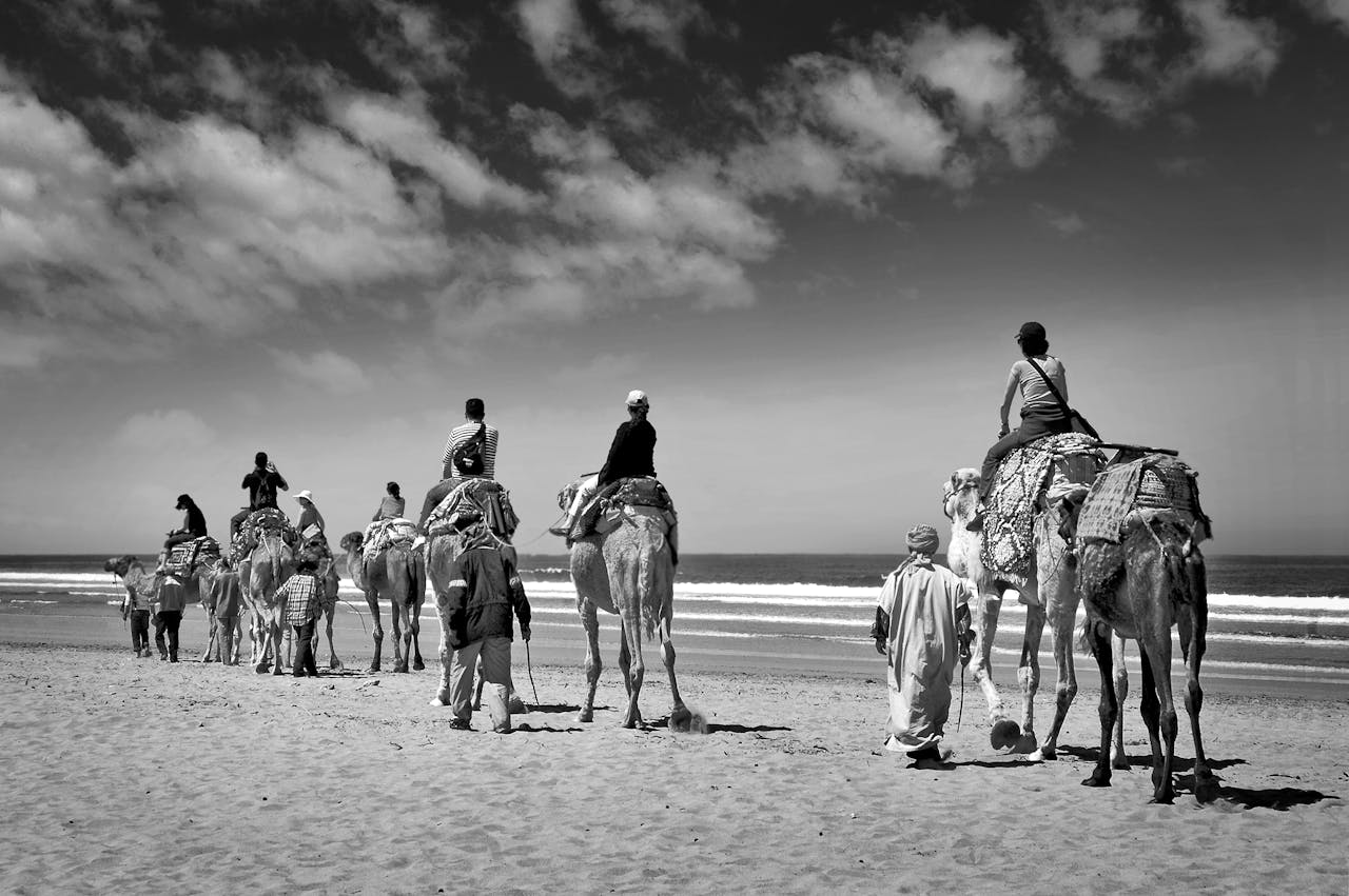 brand-02 A group riding camels along a scenic Moroccan beach in black and white.