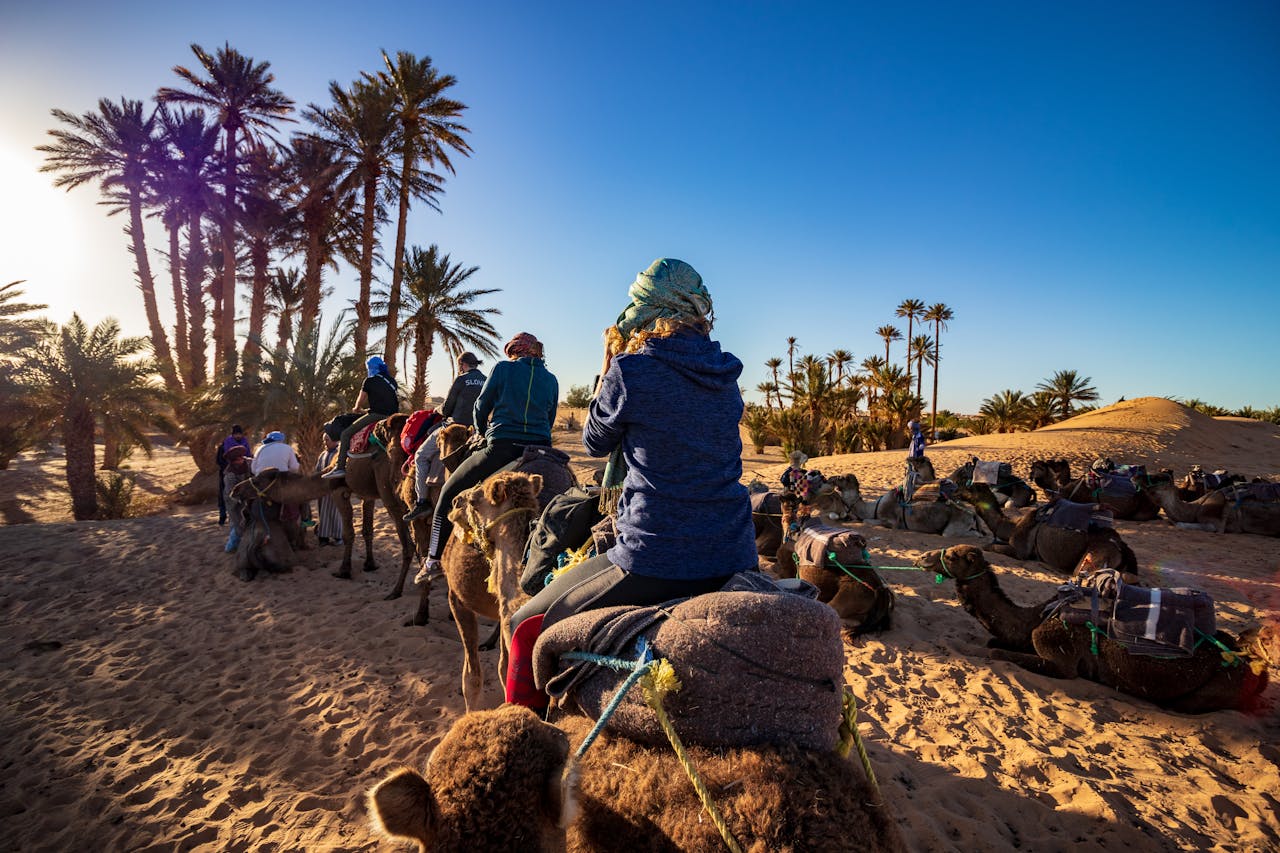 Group of people riding camels through a desert oasis with palm trees under a blue sky, ideal for travel and adventure themes.