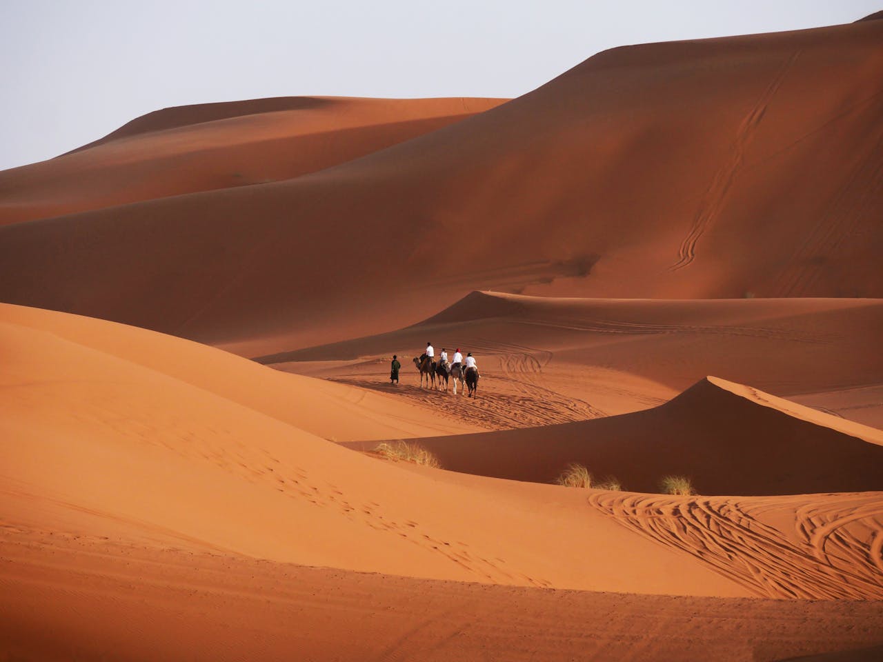 our-story Camel caravan traversing the sunlit dunes of the Moroccan Sahara near Marrakesh.