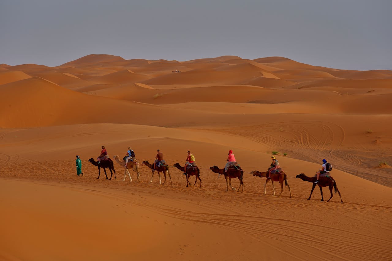 Tourists ride camels across stunning sand dunes under a clear desert sky, capturing the essence of desert adventure.
