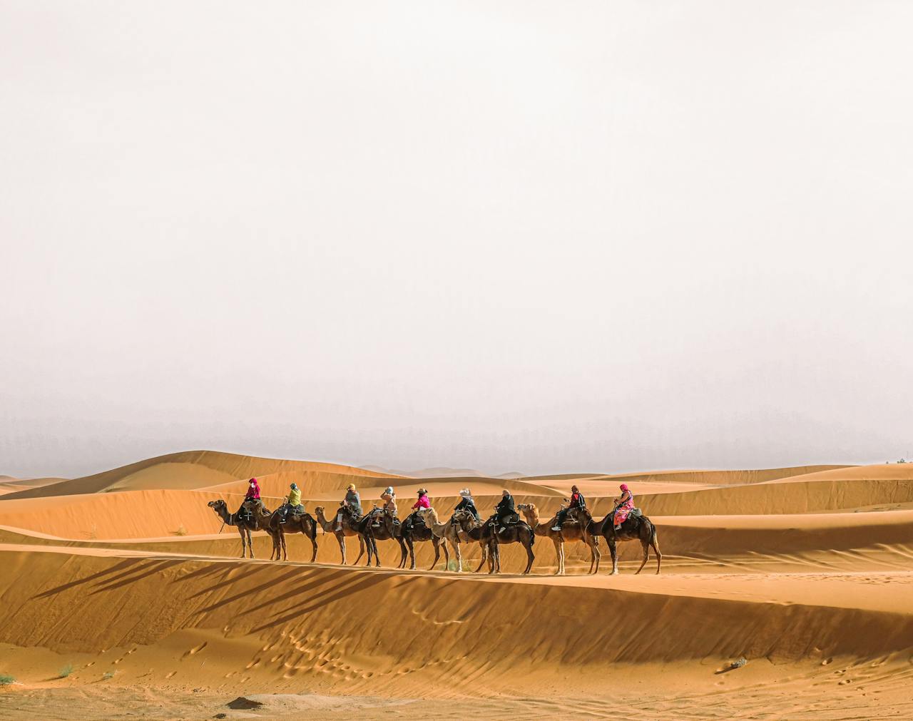 creative-02 A group of people riding camels through the vast Sahara Desert under a bright sky.